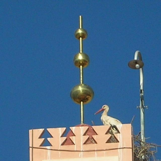 2010,Maroc en 2 CV le 13 Avril