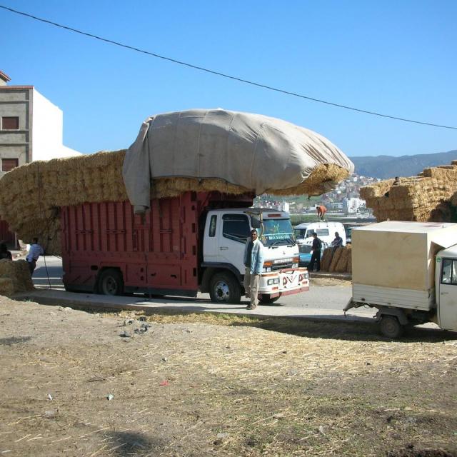 2010, Maroc en 2 CV le 07 Avril