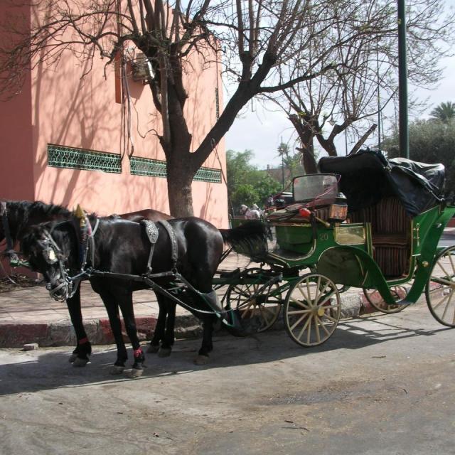 2010, Maroc en 2 CV le 15 Avril, repos à Marrakech
