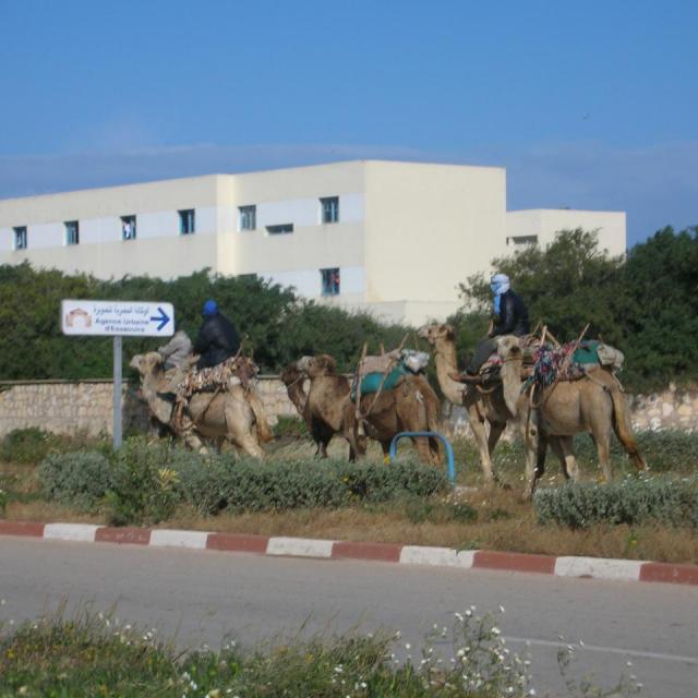 2010,Maroc en 2 CV le 16 Avril