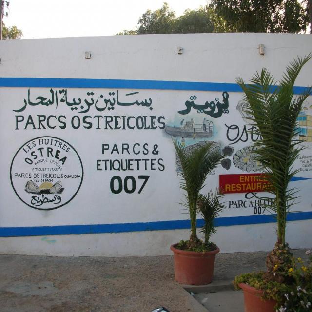 2010,Maroc en 2 CV le 16 Avril
