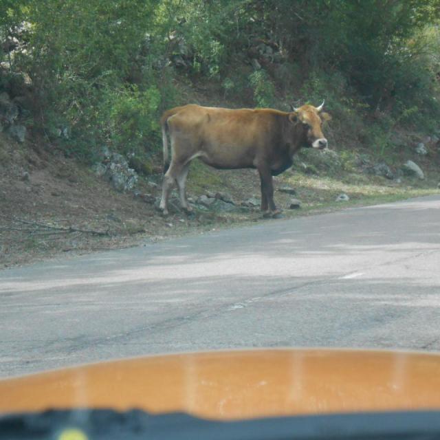 35La Corse septembre 2015