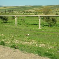 2010, Maroc en 2 CV le 20 Avril