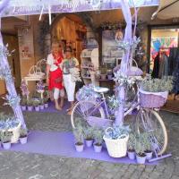 4 Lac de Garde-Sirmione  (7)