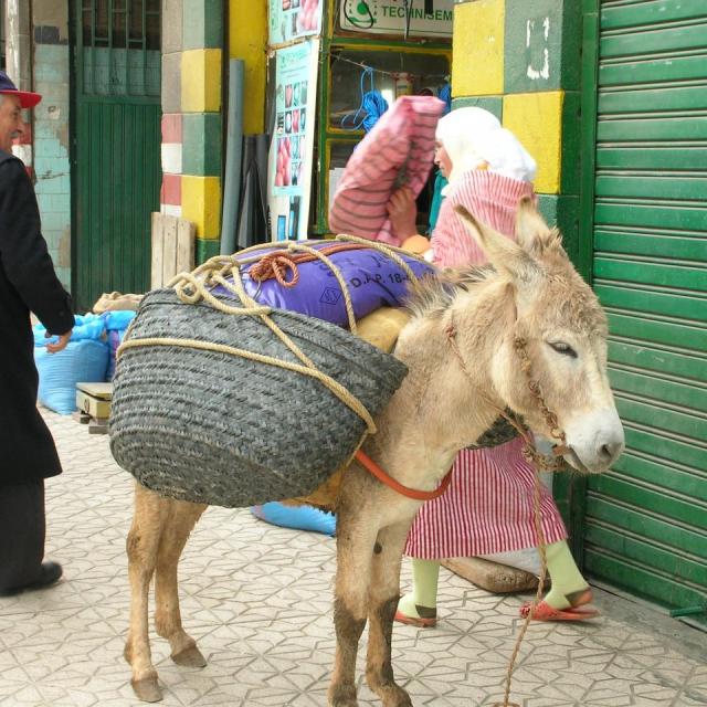 2010, Maroc en 2 CV le 21 Avril