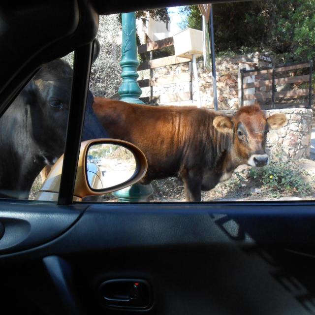 47 La Corse septembre 2015 