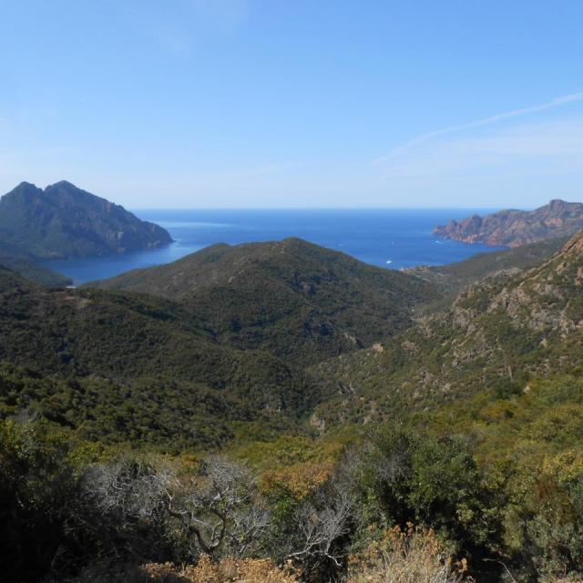 48 La Corse septembre 2015 