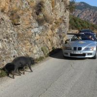 55 La Corse septembre 2015 