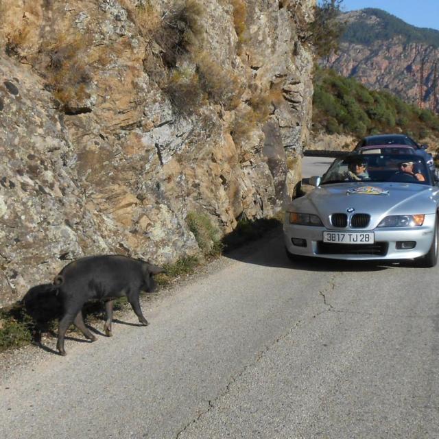 55 La Corse septembre 2015 