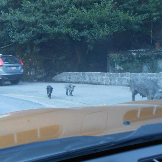 56 La Corse septembre 2015 