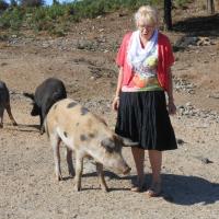 57 La Corse septembre 2015 