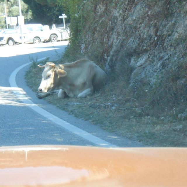 59 La Corse septembre 2015 