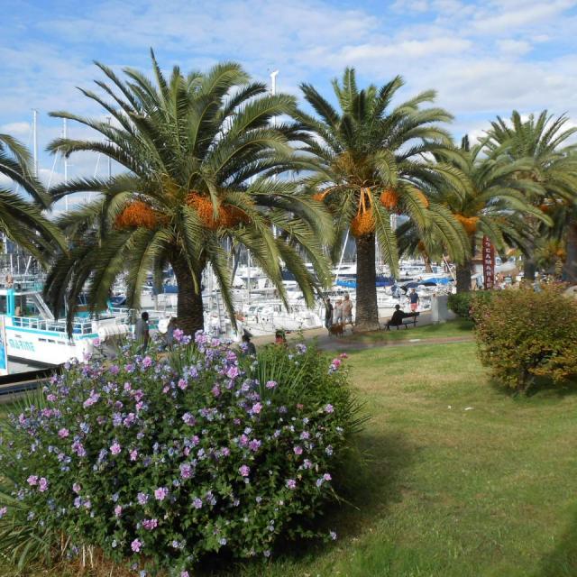77 La Corse septembre 2015 