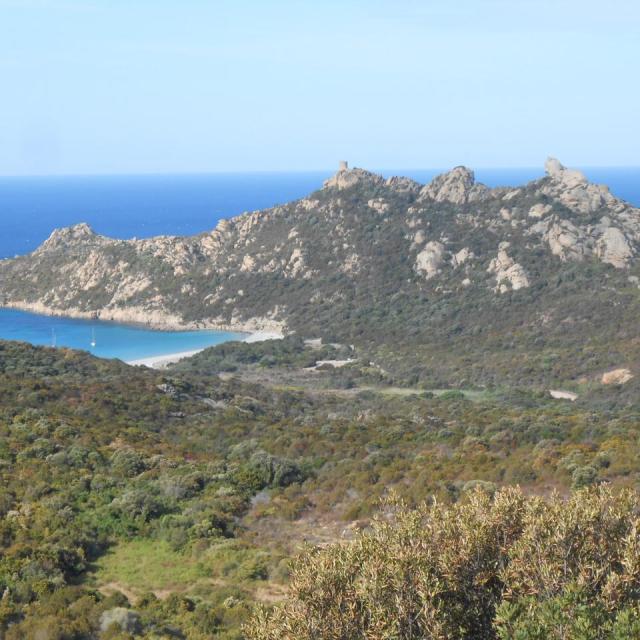 85 La Corse septembre 2015 