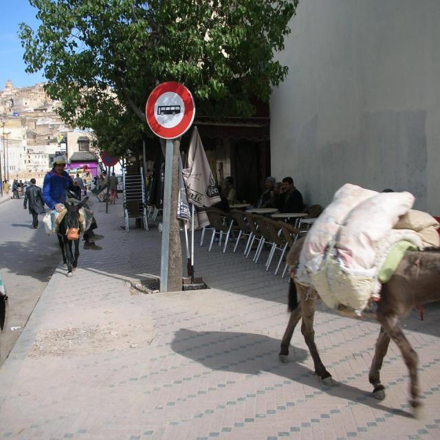 2010, Maroc en 2 CV le 08 Avril