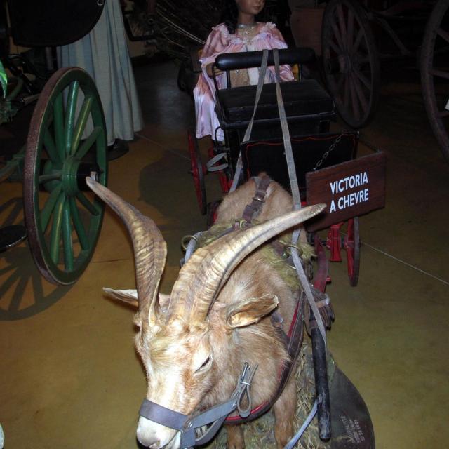 Lohéac, les voitures à cheval (14)