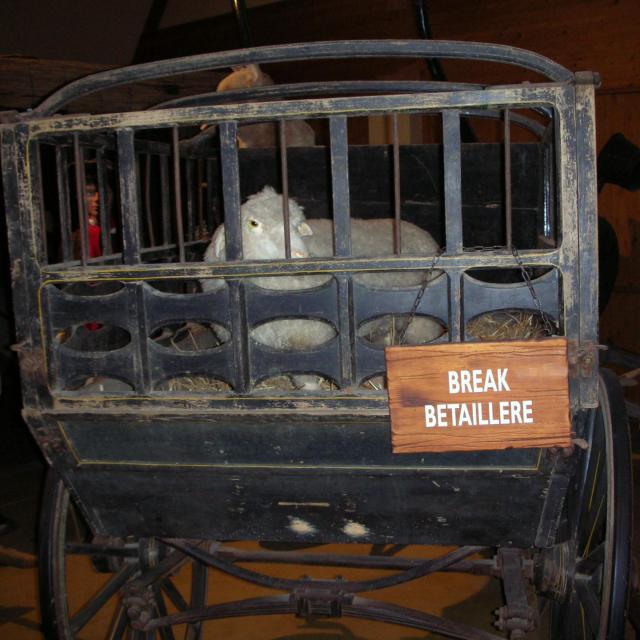 Lohéac, les voitures à cheval (17)