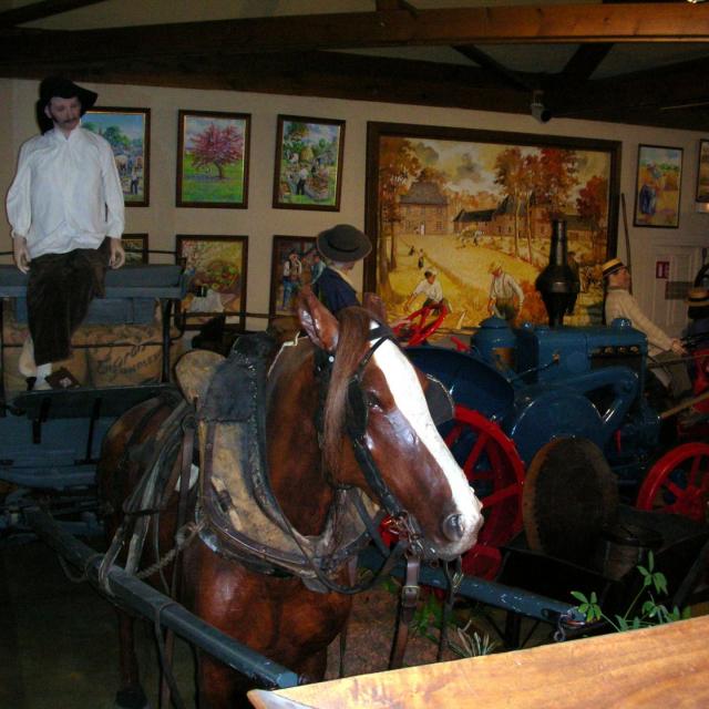 Lohéac, les voitures à cheval (20)