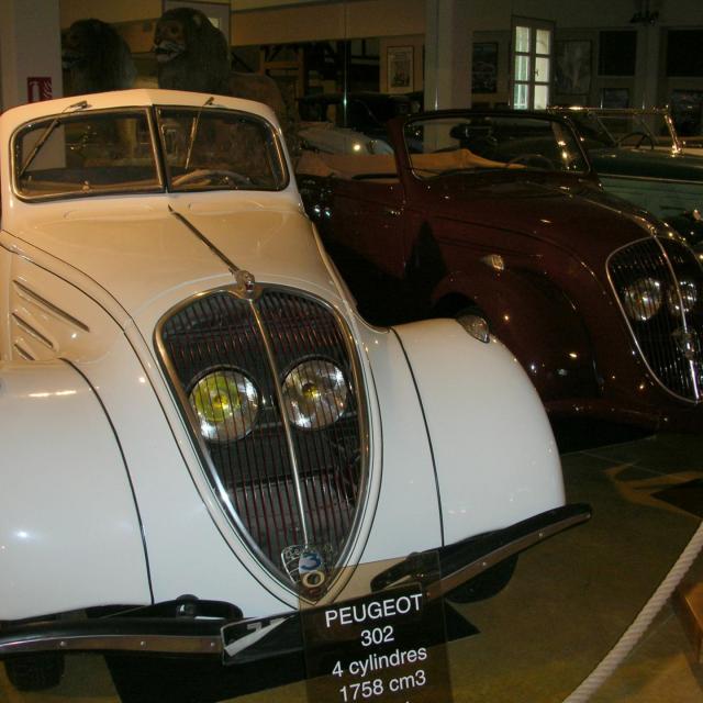Manoir de l'Automobile de Lohéac (242)