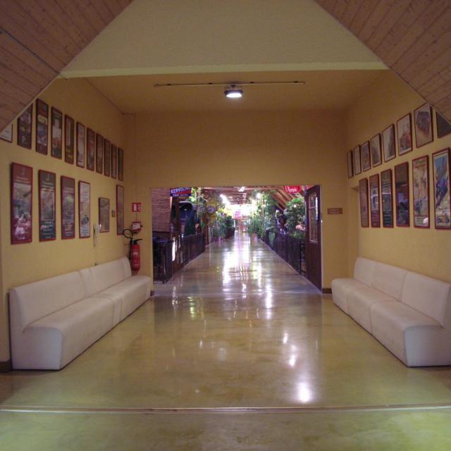 Manoir de l'Automobile de Lohéac (36)