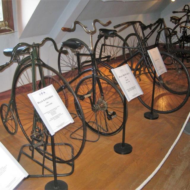 Musée Henti Malartre (21)