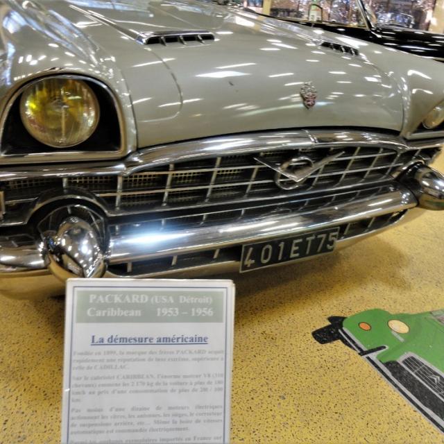 Musée Henti Malartre (42)