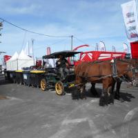 Sommet de l'élevage Cournon Clermont 04 10 2017 (55)