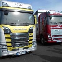Sommet de l'élevage Cournon Clermont 04 10 2017 (81)