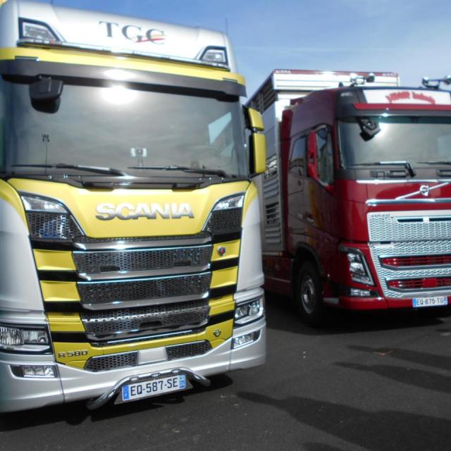 Sommet de l'élevage Cournon Clermont 04 10 2017 (81)