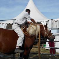 Sommet de l'élevage Cournon Clermont 04 10 2017 (93)